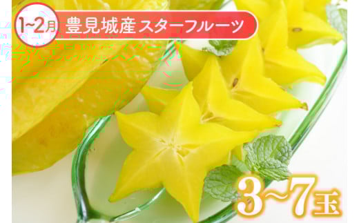 【6回定期便】人気！沖縄フルーツ定期便(年6回)｜フルーツ 果物 くだもの マンゴー キーツマンゴー アップルマンゴー パッションフルーツ スターフルーツ ドラゴンフルーツ バナナ 完熟 沖縄フルーツ 沖縄 沖縄県 豊見城市 人気 名護パイン園 定期便 送料無料(AC020)