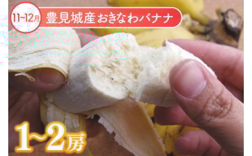 【6回定期便】人気！沖縄フルーツ定期便(年6回)｜フルーツ 果物 くだもの マンゴー キーツマンゴー アップルマンゴー パッションフルーツ スターフルーツ ドラゴンフルーツ バナナ 完熟 沖縄フルーツ 沖縄 沖縄県 豊見城市 人気 名護パイン園 定期便 送料無料(AC020)