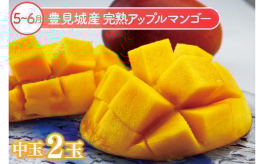 【6回定期便】人気！沖縄フルーツ定期便(年6回)｜フルーツ 果物 くだもの マンゴー キーツマンゴー アップルマンゴー パッションフルーツ スターフルーツ ドラゴンフルーツ バナナ 完熟 沖縄フルーツ 沖縄 沖縄県 豊見城市 人気 名護パイン園 定期便 送料無料(AC020)