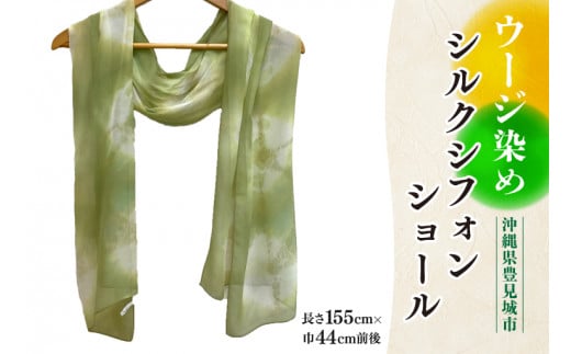 ãŠãŒãžæãã·ã«ã¯ã·ãã©ã³ã·ã§ãŒã«ïŒAI036ïŒ