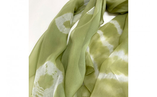 ãŠãŒãžæãã·ã«ã¯ã·ãã©ã³ã·ã§ãŒã«ïŒAI036ïŒ