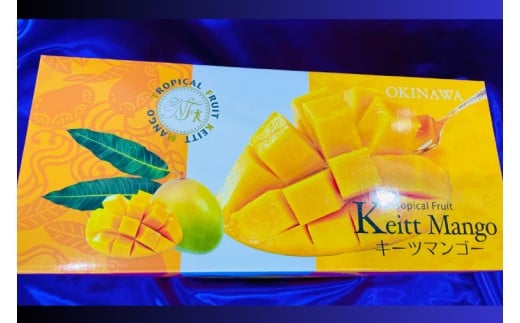 【2026年8月より順次発送】稀少プレミアム！！豊見城市産キーツマンゴー 約2kg(2～3玉)｜マンゴー キーツマンゴー フルーツ 果物 くだもの 先行予約 沖縄 おきなわ 沖縄県 豊見城市(BV002-2)