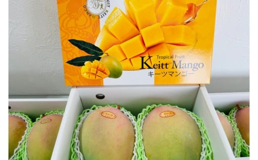 【2026年8月より順次発送】稀少プレミアム！！豊見城市産キーツマンゴー 約2kg(2～3玉)｜マンゴー キーツマンゴー フルーツ 果物 くだもの 先行予約 沖縄 おきなわ 沖縄県 豊見城市(BV002-2)