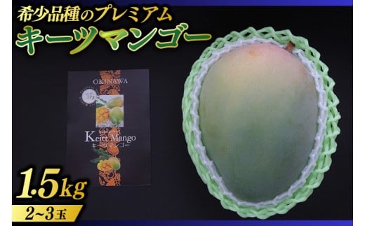 【2026年8月より順次発送】稀少プレミアム！！豊見城市産キーツマンゴー 約1.5kg(2～3玉)｜マンゴー キーツマンゴー フルーツ 果物 くだもの 先行予約 沖縄 おきなわ 沖縄県 豊見城市(BV001-1)