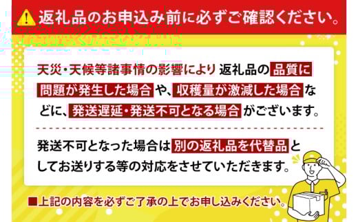 【2026年8月より順次発送】稀少プレミアム！！豊見城市産キーツマンゴー 約1.5kg(2～3玉)｜マンゴー キーツマンゴー フルーツ 果物 くだもの 先行予約 沖縄 おきなわ 沖縄県 豊見城市(BV001-1)