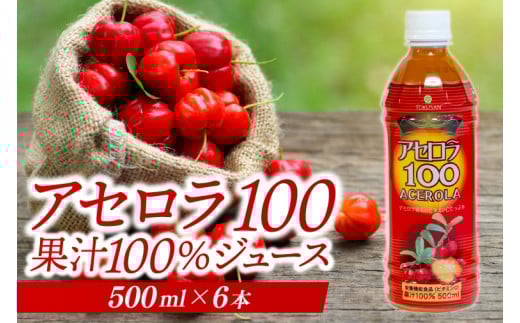 アセロラ100 ストレート100%ジュース(500ml×6本)｜アセロラ フルーツ 果物 くだもの アセロラジュース ジュース フルーツジュース ストレート 果汁 沖縄県 おきなわ 豊見城市(AD002-1)