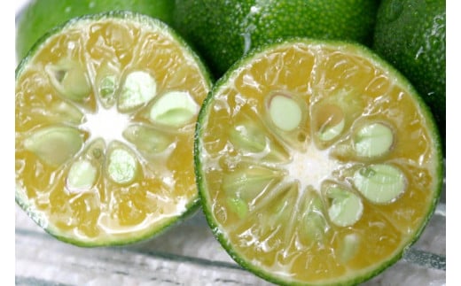 沖縄県産青切りシークヮーサー500ml 3本セット|シークヮーサー ジュース フルーツ フルーツジュース 果汁 調味料 沖縄 おきなわ 豊見城市(AD001-1)