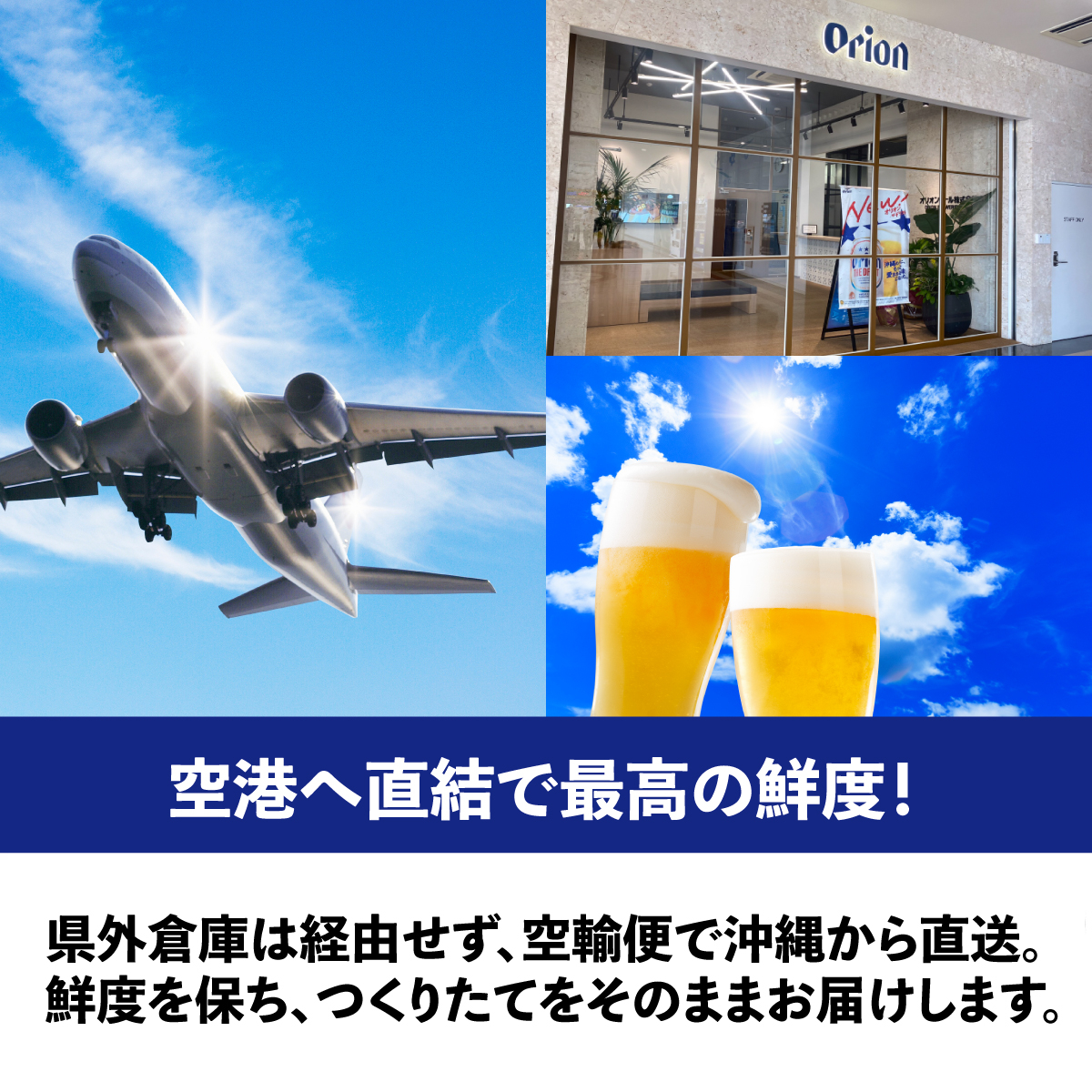 ≪ オリオン ザ・ドラフト 350ml × 24本 ≫ 24缶 24本 生ビール 地ビール オリオンビール 沖縄 豊見城市 母の日 父の日 ギフト お歳暮 お中元 贈り物 プレゼント おすすめ お酒 宅飲み 送料無料(DQ001)