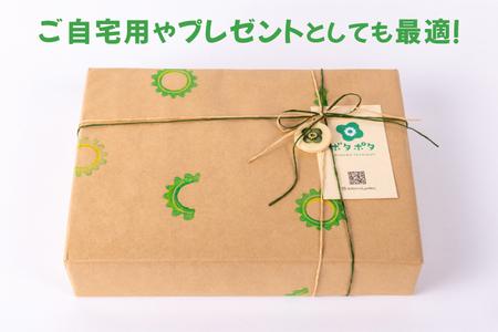 ゴーヤーの3点食器セット（丸）｜食器 やちむん 皿 箸置き 沖縄県 豊見城市（DD024）