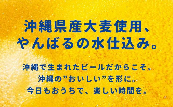 【年3回】オリオンビール 気軽に楽しむ！定期便