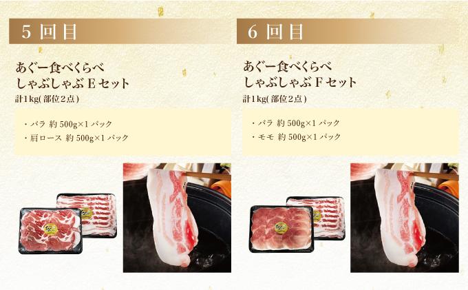 ã幎6åããããŒé£ã¹ããã¹ããã¶ããã¶ã»ããå®æäŸ¿ TE010