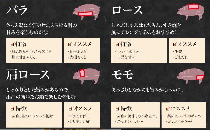 ã幎6åããããŒé£ã¹ããã¹ããã¶ããã¶ã»ããå®æäŸ¿ TE010