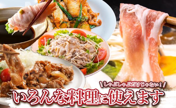 ã幎6åããããŒé£ã¹ããã¹ããã¶ããã¶ã»ããå®æäŸ¿ TE010