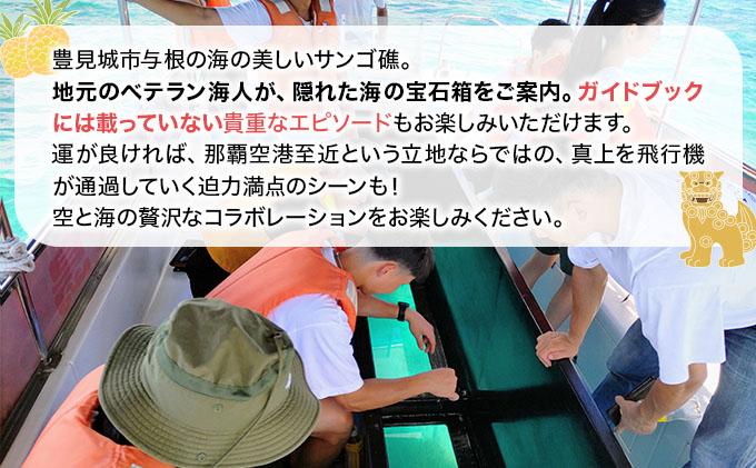 UN001 海人ãšè¡ãïŒäžæ ¹ã®é ããµã³ãŽç€çºèŠãã¢ãŒ ãé£èŠç©ºæž¯è³è¿ã®ã°ã©ã¹ããŒãäœéšã