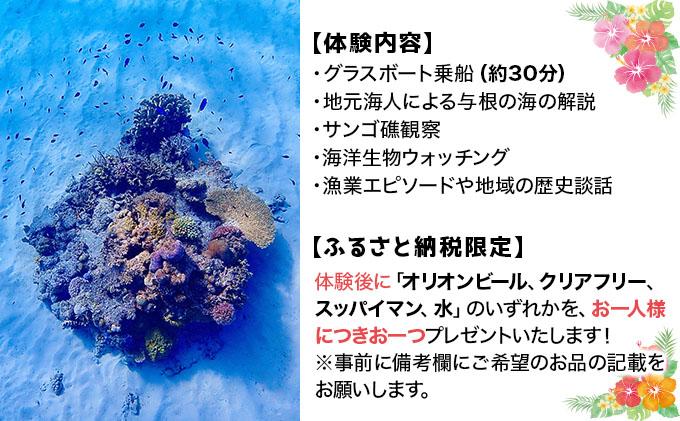 UN001 海人ãšè¡ãïŒäžæ ¹ã®é ããµã³ãŽç€çºèŠãã¢ãŒ ãé£èŠç©ºæž¯è³è¿ã®ã°ã©ã¹ããŒãäœéšã