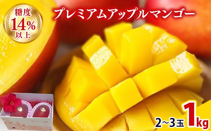 【2026年夏発送】【先行予約】プレミアム アップルマンゴー！1kg箱(2〜3玉)