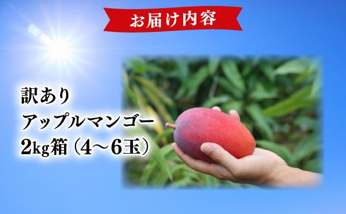 ã2026幎å€çºéããå
è¡äºçŽãèš³ãã ã¢ããã«ãã³ãŽãŒïŒ2kgç®±(4ã6ç)