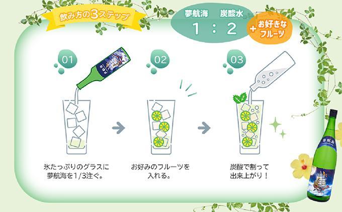夢航海 紙パック 30度 900ml 2本セット