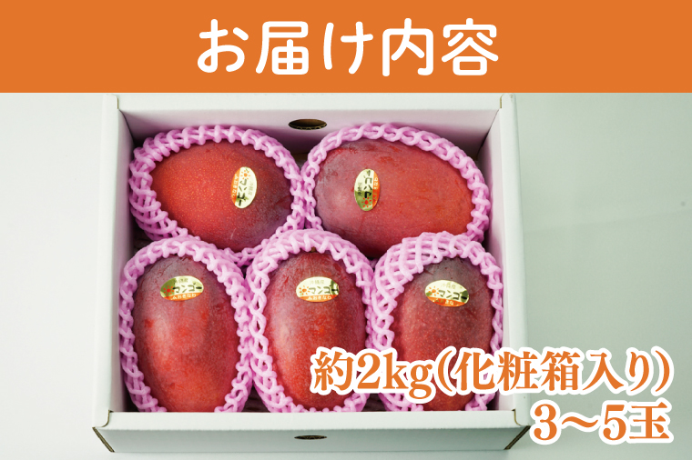 【2026年6月より順次発送】【先行予約】★訳あり★アーウィンマンゴー 3～5玉(約2kg)【白箱】 ご家庭用｜マンゴー アーウィンマンゴー アーウィン フルーツ 果物 くだもの おきなわマンゴー おきなわ 沖縄県 豊見城市 家庭用(AE011)