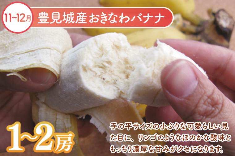 【6回定期便】人気！沖縄フルーツ定期便(年6回)｜フルーツ 果物 くだもの マンゴー キーツマンゴー アップルマンゴー パッションフルーツ スターフルーツ ドラゴンフルーツ バナナ 完熟 沖縄フルーツ 沖縄 沖縄県 豊見城市 人気 名護パイン園 定期便 送料無料(AC020)