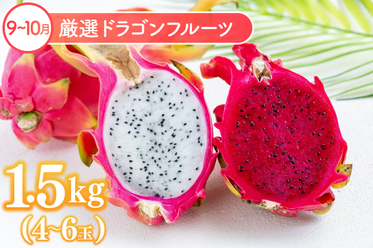 【6回定期便】豊見城 極上フルーツ定期便(全6回)｜フルーツ くだもの 果物 沖縄フルーツ マンゴー バナナ パッションフルーツ アテモヤ アップルマンゴー ドラゴンフルーツ キーツマンゴー 定期便 フルーツ定期便 沖縄県 豊見城市 人気 送料無料(AC023)