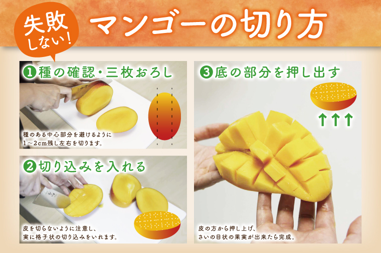 【2026年6月より順次発送】【先行予約】アーウィンマンゴー 3～6玉(約1.5kg)【白箱】 ご家庭用｜マンゴー アーウィンマンゴー アーウィン フルーツ 果物 くだもの おきなわマンゴー おきなわ 沖縄県 豊見城市 家庭用(AE012)