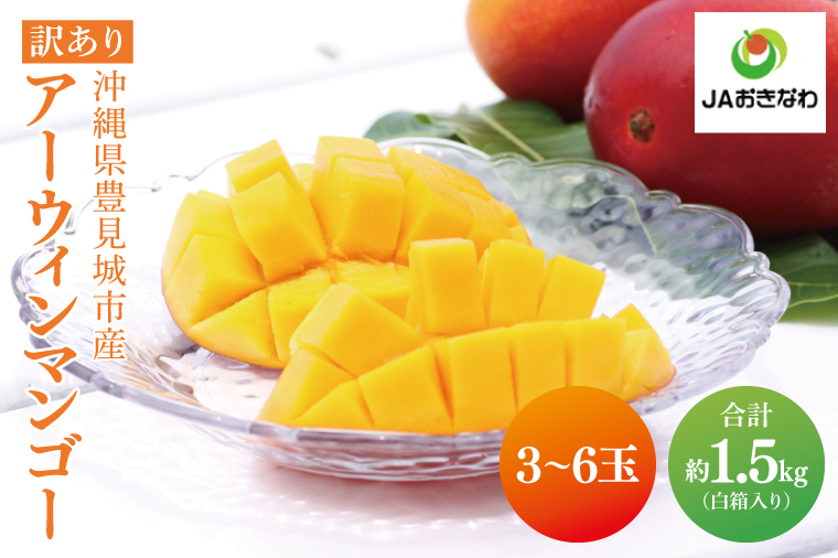 【2026年6月より順次発送】【先行予約】アーウィンマンゴー 3～6玉(約1.5kg)【白箱】 ご家庭用｜マンゴー アーウィンマンゴー アーウィン フルーツ 果物 くだもの おきなわマンゴー おきなわ 沖縄県 豊見城市 家庭用(AE012)