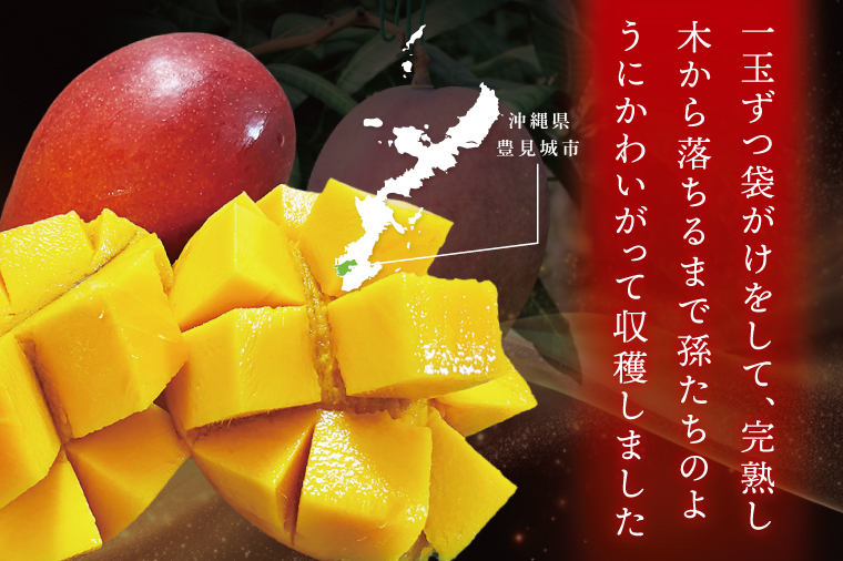 【2026年7月より順次発送】豊見城産マンゴー『殿内之宝(どぅんちのたから)・極』約2kg｜マンゴー フルーツ 果物 くだもの 先行予約 完熟マンゴー 沖縄フルーツ おきなわ 沖縄 沖縄県 豊見城市(DR003)