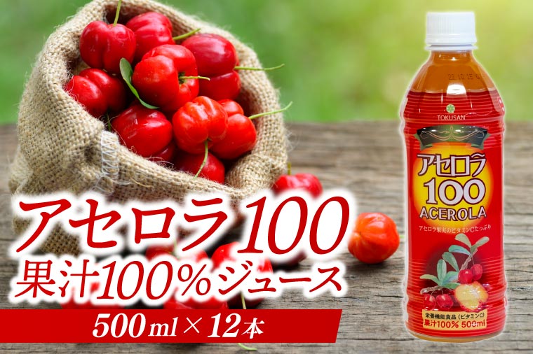 アセロラ100 ストレート100%ジュース(500ml×12本)｜アセロラ フルーツ 果物 くだもの アセロラジュース ジュース フルーツジュース ストレート 果汁 沖縄県 おきなわ 豊見城市(AD003)
