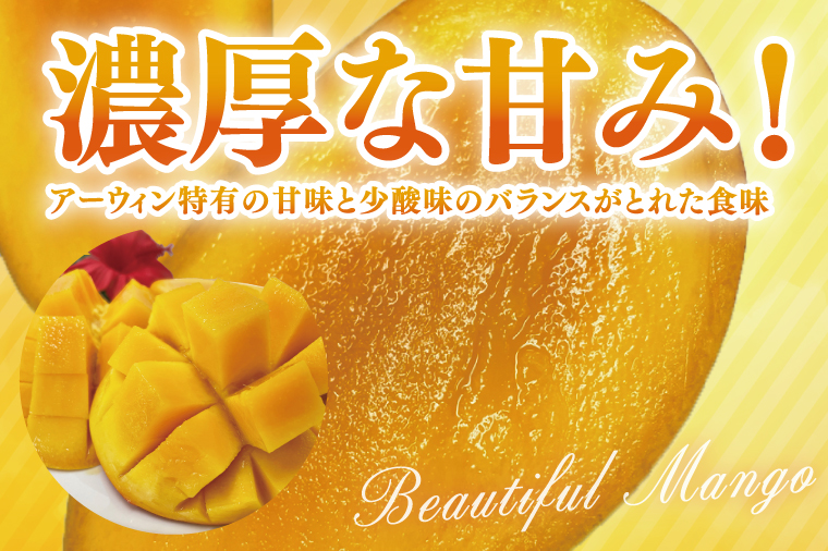 【2026年6月より順次発送】【先行予約】アーウィンマンゴー 3～6玉(約1.5kg)【白箱】 ご家庭用｜マンゴー アーウィンマンゴー アーウィン フルーツ 果物 くだもの おきなわマンゴー おきなわ 沖縄県 豊見城市 家庭用(AE012)