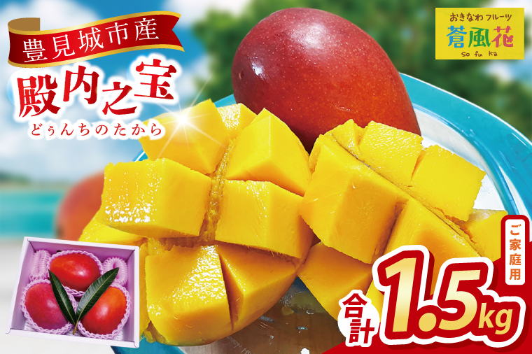 【2026年7月より順次発送】豊見城産マンゴー『殿内之宝(どぅんちのたから)』約1.5kg(ご家庭用)｜マンゴー フルーツ 果物 くだもの 先行予約 完熟マンゴー 沖縄フルーツ 家庭用 おきなわ 沖縄 沖縄県 豊見城市(DR005)