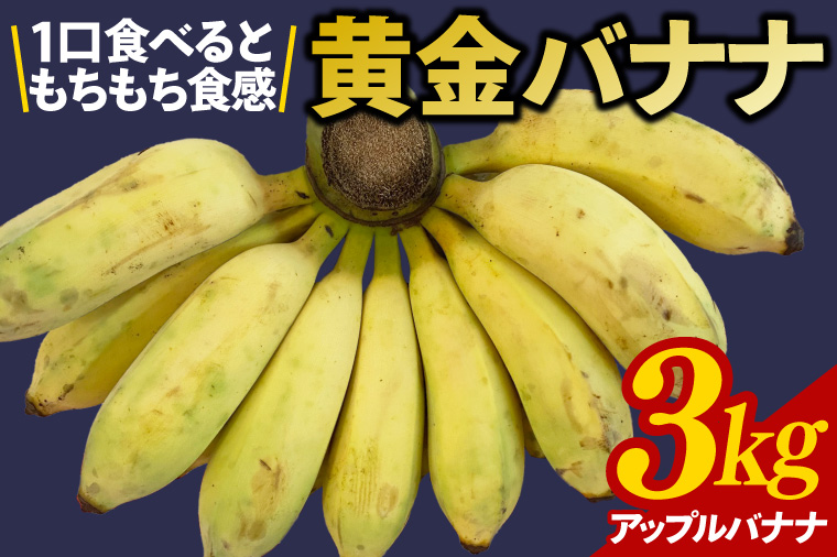 黄金バナナ（アップルバナナ）約3kg(CF001-1)