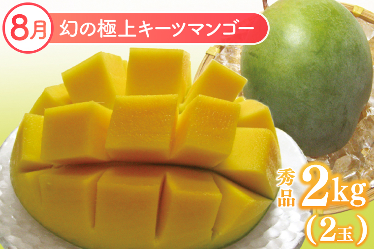 【2026年6月より順次発送】【3ヶ月定期便】豊見城 極上フルーツ定期便(6・7・8月コース)｜フルーツ くだもの 果物 マンゴー アップルマンゴー キーツマンゴー 名護パイン園 定期便 フルーツ定期便 先行予約 沖縄県 豊見城市(AC022)