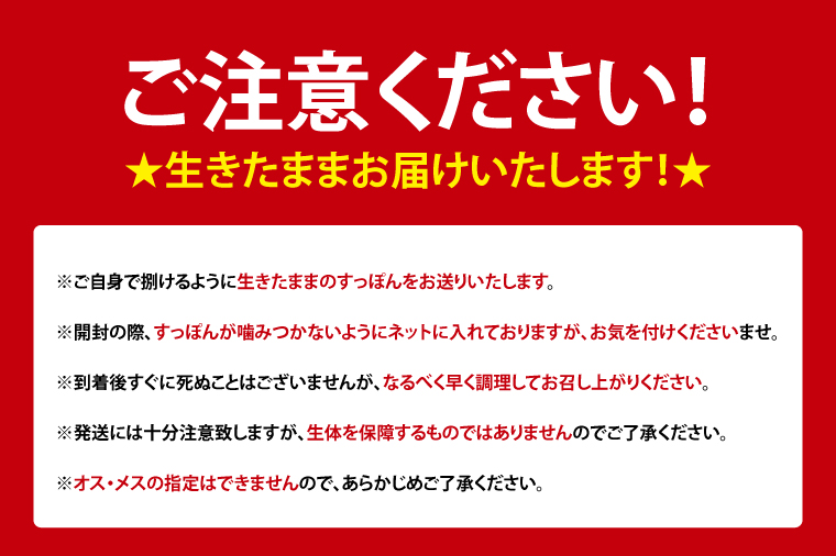 【生きたまま直送】活きすっぽん 1匹 800g～900g｜すっぽん スッポン 養殖 コラーゲン コラーゲンたっぷり 低カロリー 美容 健康 １匹 送料無料 豊見城市産 沖縄県(CS001)