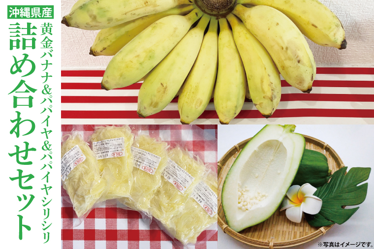 黄金バナナ、パパイヤ、パパイヤシリシリ詰め合わせセット｜沖縄県 豊見城市 ふるさと納税 沖縄 フルーツ 果物 くだもの バナナ ばなな 黄金バナナ パパイヤ パパイヤシリシリ セット 詰め合わせ 南国 有機無農薬 おきなわ 沖縄フルーツ(CF003)