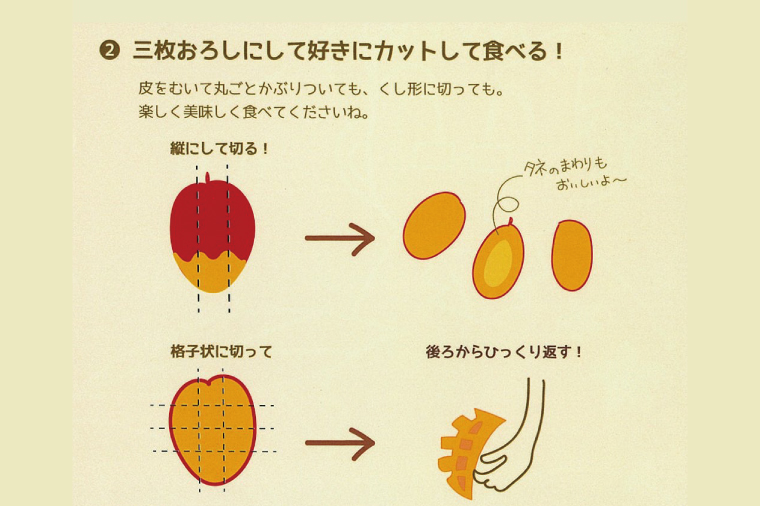 【2026年7月より順次発送】豊見城産マンゴー『殿内之宝(どぅんちのたから)・極』約1.5kg｜マンゴー フルーツ 果物 くだもの 先行予約 完熟マンゴー 沖縄フルーツ おきなわ 沖縄 沖縄県 豊見城市(DR002)