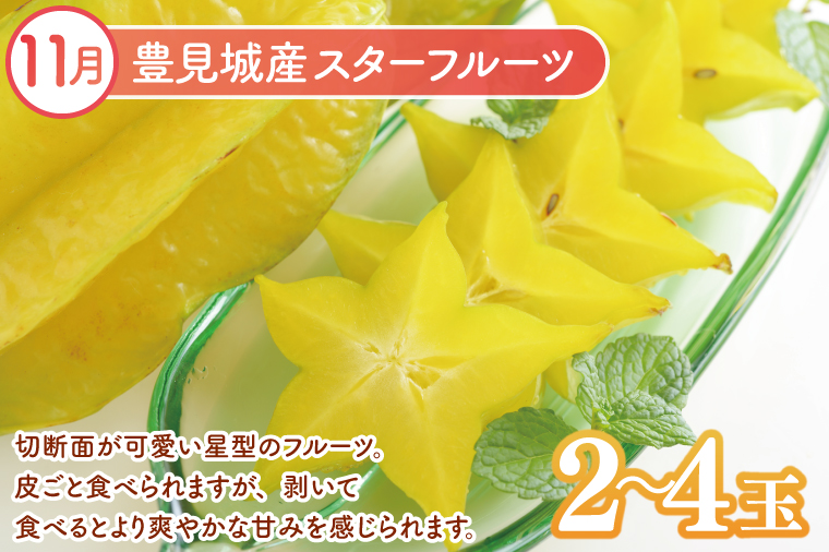 【2026年9月より順次発送】【3回定期便】沖縄フルーツ定期便（9・10・11月コース）｜フルーツ くだもの 果物 スターフルーツ ドラゴンフルーツ バナナ 名護パイン園 定期便 フルーツ定期便 沖縄フルーツ 先行予約 おきなわ 沖縄県 豊見城市(AC018)