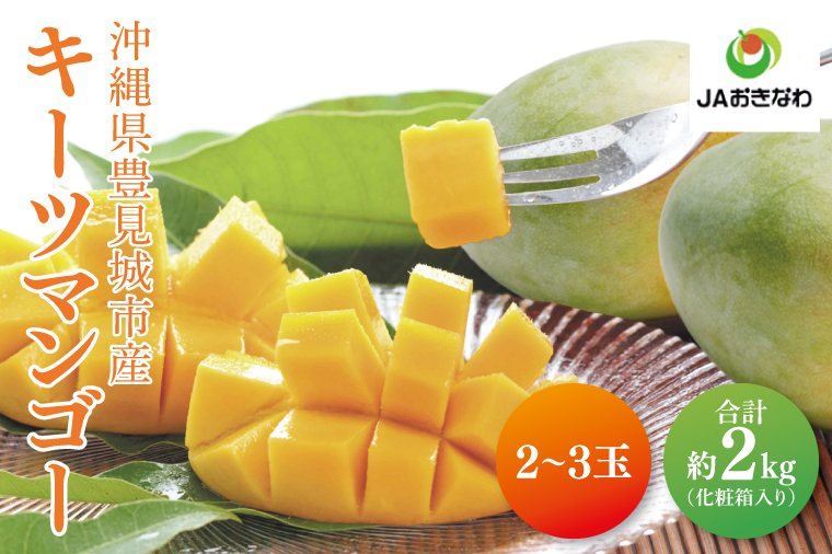 【2026年8月より順次発送】キーツマンゴー 2～3玉(約2kg)(化粧箱)｜沖縄県 豊見城市 マンゴー キーツマンゴー フルーツ 果物 くだもの おきなわマンゴー 先行予約 ギフト 贈り物 化粧箱入り 先行予約(AE015)