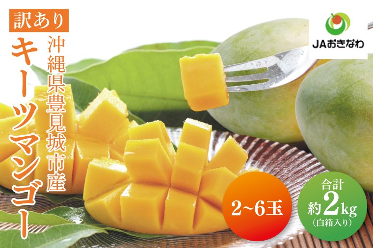 【2026年8月より順次発送】★訳あり★キーツマンゴー 2～6玉(約2kg)【白箱】ご家庭用｜訳あり わけあり 訳アリ キーツマンゴー マンゴー キーツ フルーツ 先行予約 果物 くだもの おきなわマンゴー 家庭用 沖縄県 豊見城市(AE016)