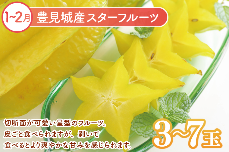 【6回定期便】人気！沖縄フルーツ定期便(年6回)｜フルーツ 果物 くだもの マンゴー キーツマンゴー アップルマンゴー パッションフルーツ スターフルーツ ドラゴンフルーツ バナナ 完熟 沖縄フルーツ 沖縄 沖縄県 豊見城市 人気 名護パイン園 定期便 送料無料(AC020)