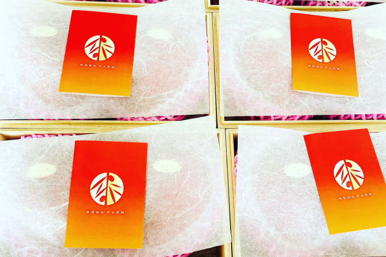 【2026年6月下旬より順次発送】★数量限定★沖縄県最優秀県知事賞に3度輝いた！★桐箱★沖縄マンゴー大玉 約1kg(約500g×2玉)｜マンゴー フルーツ 果物 くだもの 先行予約 贈り物 プレゼント お土産 ギフト 贈答用 沖縄 おきなわ 沖縄県 豊見城市(BV004)