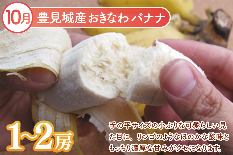 【2026年9月より順次発送】【3回定期便】沖縄フルーツ定期便（9・10・11月コース）｜フルーツ くだもの 果物 スターフルーツ ドラゴンフルーツ バナナ 名護パイン園 定期便 フルーツ定期便 沖縄フルーツ 先行予約 おきなわ 沖縄県 豊見城市(AC018)