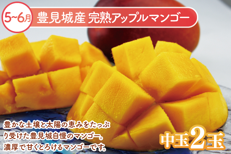 【6回定期便】人気！沖縄フルーツ定期便(年6回)｜フルーツ 果物 くだもの マンゴー キーツマンゴー アップルマンゴー パッションフルーツ スターフルーツ ドラゴンフルーツ バナナ 完熟 沖縄フルーツ 沖縄 沖縄県 豊見城市 人気 名護パイン園 定期便 送料無料(AC020)