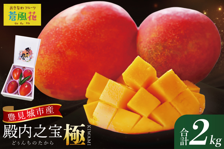 【2026年7月より順次発送】豊見城産マンゴー『殿内之宝(どぅんちのたから)・極』約2kg｜マンゴー フルーツ 果物 くだもの 先行予約 完熟マンゴー 沖縄フルーツ おきなわ 沖縄 沖縄県 豊見城市(DR003)