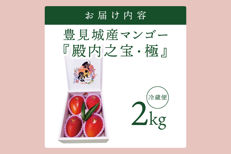 【2026年7月より順次発送】豊見城産マンゴー『殿内之宝(どぅんちのたから)・極』約2kg｜マンゴー フルーツ 果物 くだもの 先行予約 完熟マンゴー 沖縄フルーツ おきなわ 沖縄 沖縄県 豊見城市(DR003)