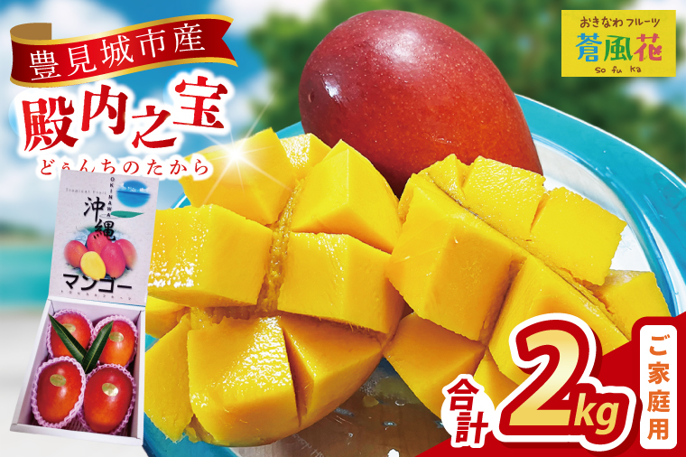 【2026年7月より順次発送】豊見城産マンゴー『殿内之宝(どぅんちのたから)』約2kg(ご家庭用)｜マンゴー フルーツ 果物 くだもの 先行予約 完熟マンゴー 沖縄フルーツ 家庭用 おきなわ 沖縄 沖縄県 豊見城市(DR006)