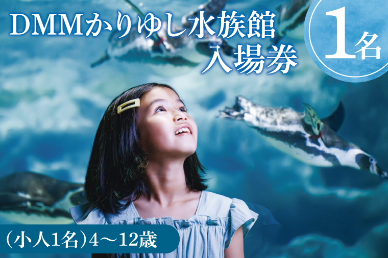 「DMMかりゆし水族館」入場券 小人1名(4～12歳)｜水族館 入場券 チケット 旅行 観光 沖縄旅行 沖縄 おきなわ 豊見城市(DG003)