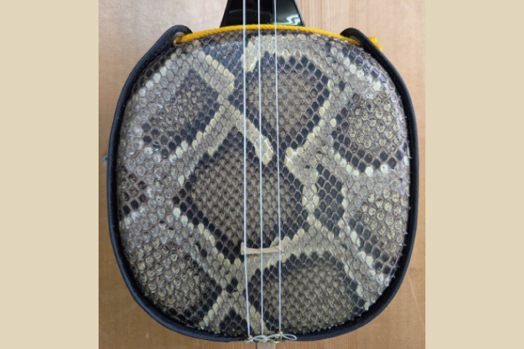 ★選べるレジンバチ★「三線工房ダイキ」南洋白木 蛇皮二重張り三線セット｜三線 三線工房 沖縄 蛇皮 白木 セット 三線セット バチ レジンバチ 沖縄県 豊見城市(CU006)