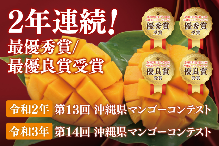 【2026年6月より順次発送】【先行予約】赤秀アーウィンマンゴー 3～5玉(約2kg)(化粧箱)｜沖縄県 豊見城市 マンゴー アーウィンマンゴー フルーツ 果物 くだもの おきなわマンゴー ギフト 贈り物 化粧箱入り 先行予約(AE004)