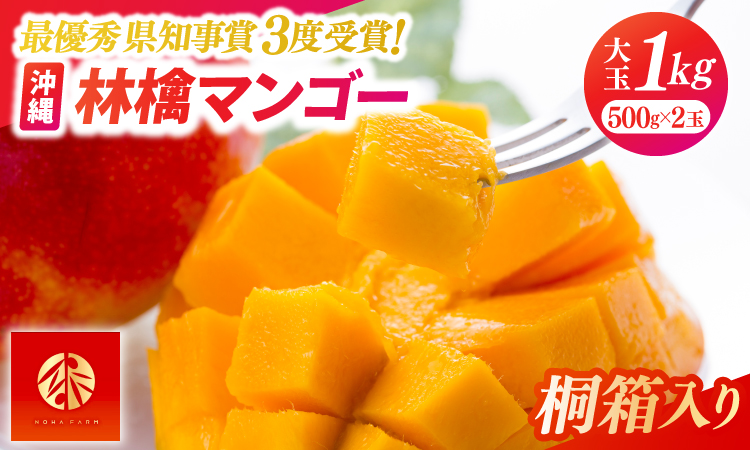 【2026年6月下旬より順次発送】★数量限定★沖縄県最優秀県知事賞に3度輝いた！★桐箱★沖縄マンゴー大玉 約1kg(約500g×2玉)｜マンゴー フルーツ 果物 くだもの 先行予約 贈り物 プレゼント お土産 ギフト 贈答用 沖縄 おきなわ 沖縄県 豊見城市(BV004)
